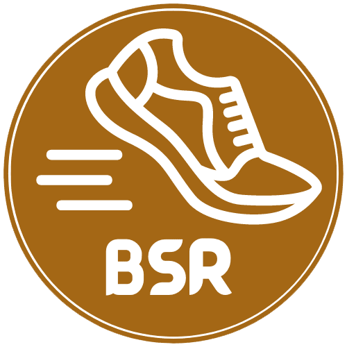 Bestslippersreviews Logo